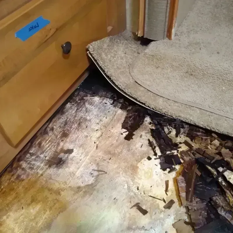 Wood Floor Water Damage in Arnold, MO